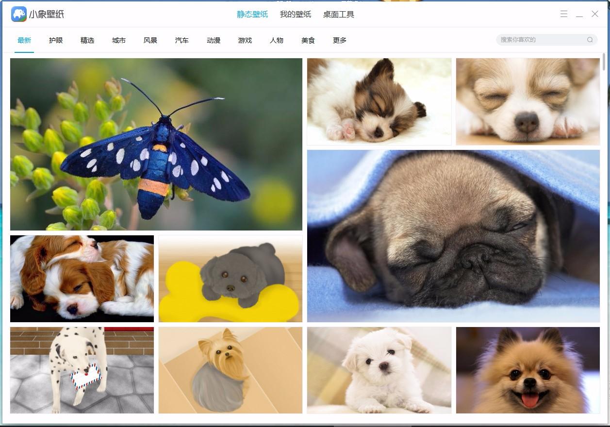 小象壁紙,免費壁紙,桌面壁紙,靜態(tài)壁紙,桌面美化