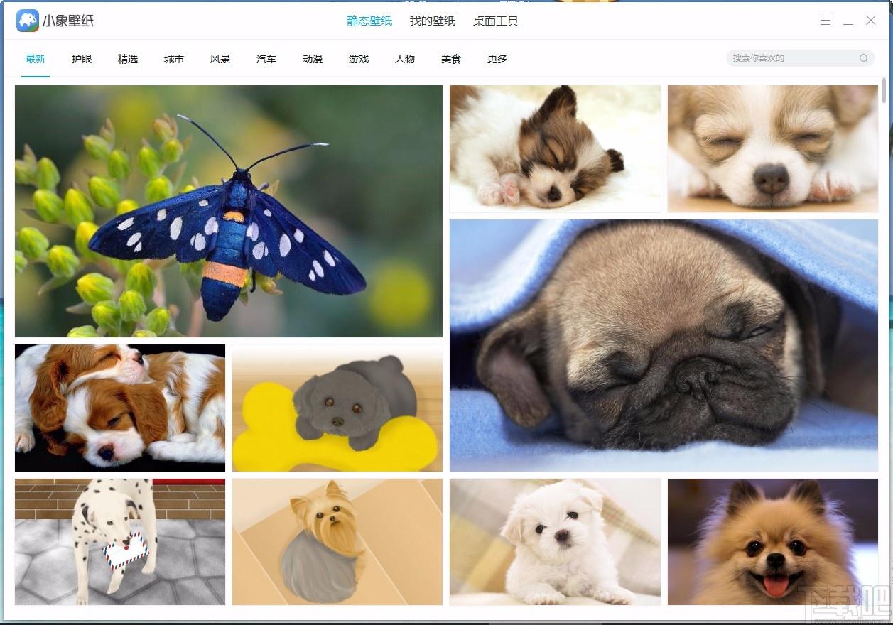 小象壁紙,免費壁紙,桌面壁紙,靜態(tài)壁紙,桌面美化