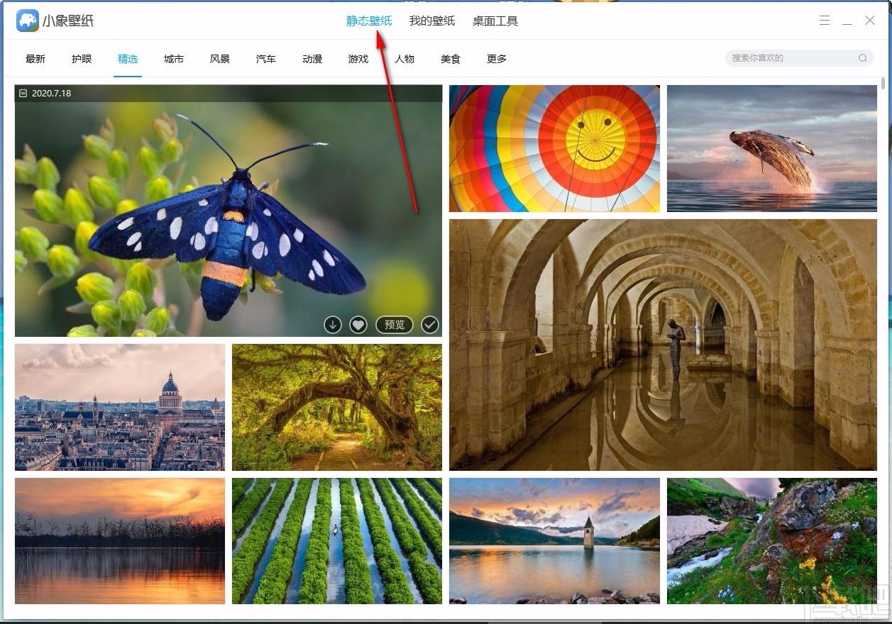 小象壁紙,免費壁紙,桌面壁紙,靜態(tài)壁紙,桌面美化