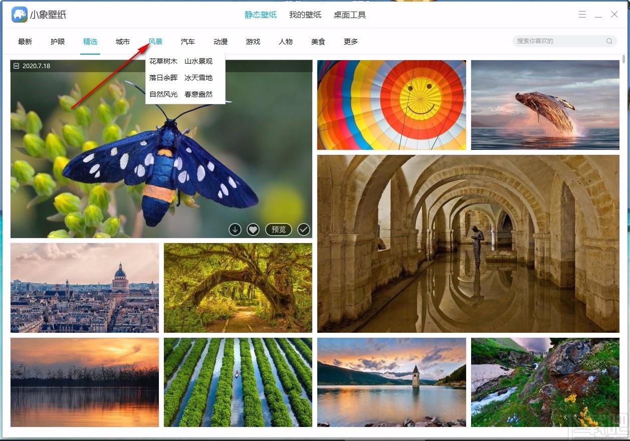 小象壁紙,免費壁紙,桌面壁紙,靜態(tài)壁紙,桌面美化